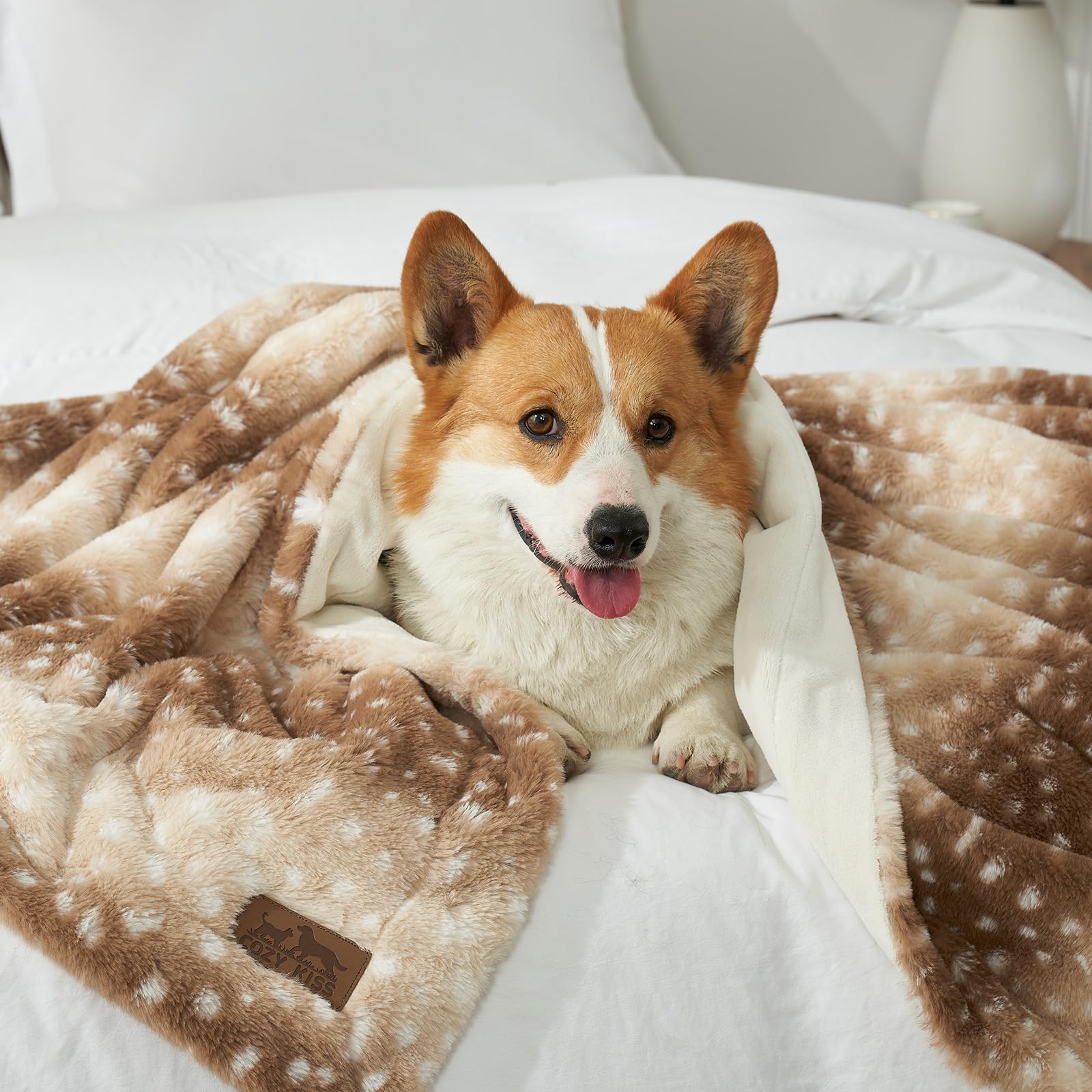 Manta COZY KISS regalo ideal para amantes de mascotas.