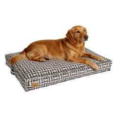 Cama Cozy Tails con espuma molida para confort diario del perro.