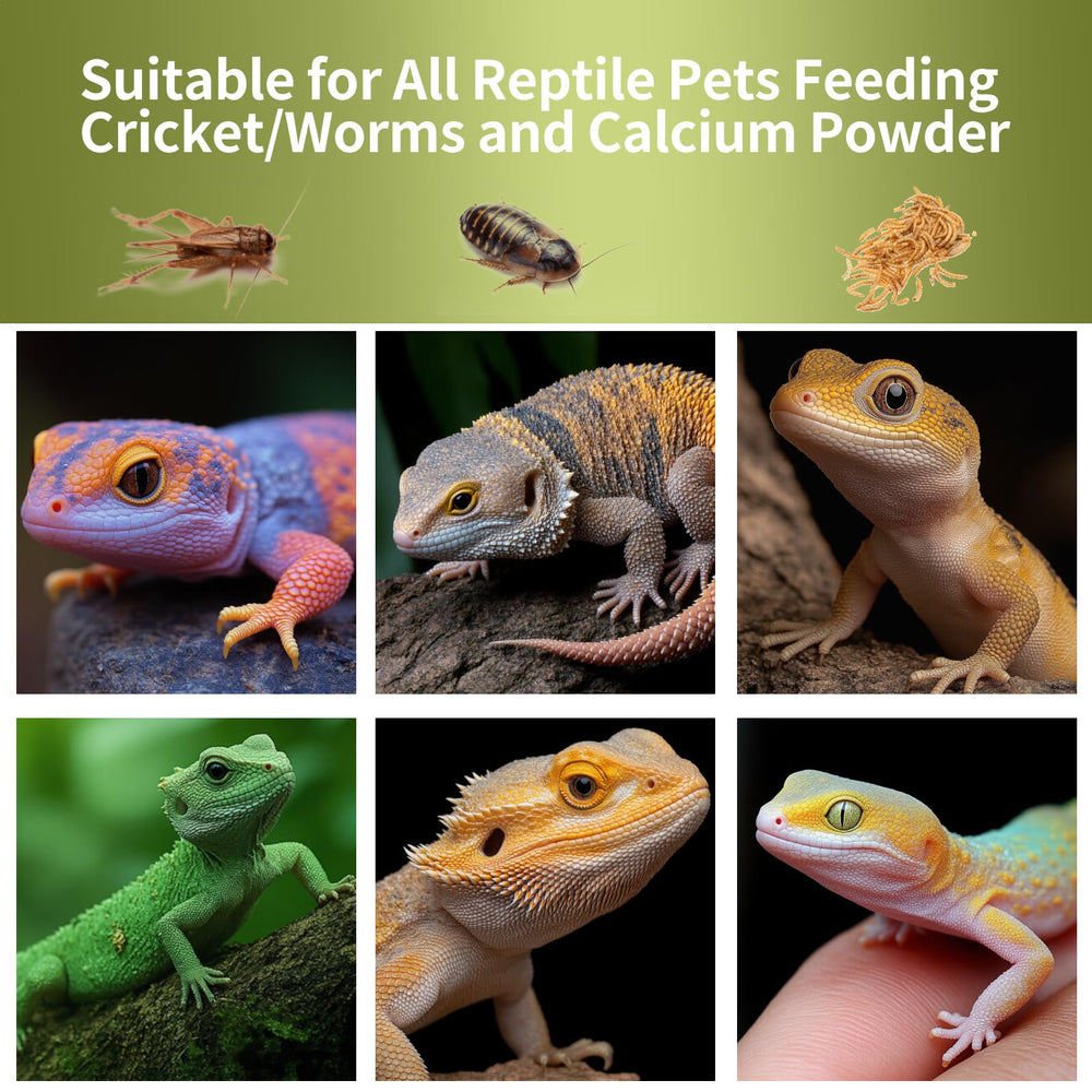 COZYWELL: Dispensador portátil para nutrición de reptiles durante salidas.
