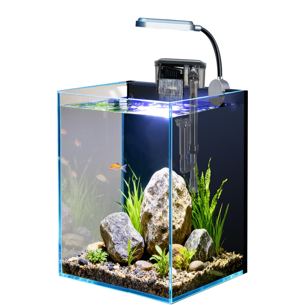 Craftsboys acuario nano 1,5 galones frente del tanque para observación clara de peces