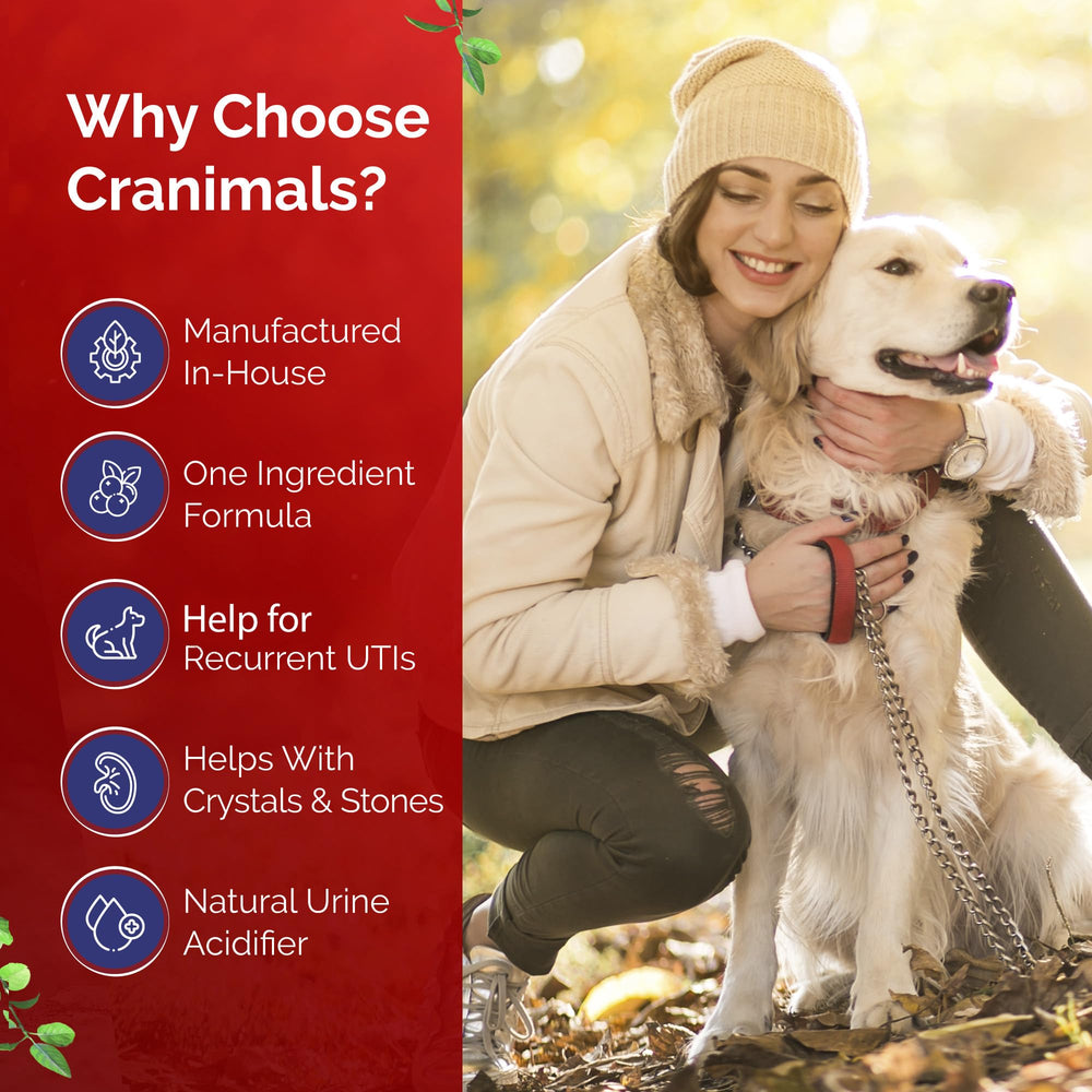 Cranimals: perro disfrutando el sabor, opción natural para el día a día.