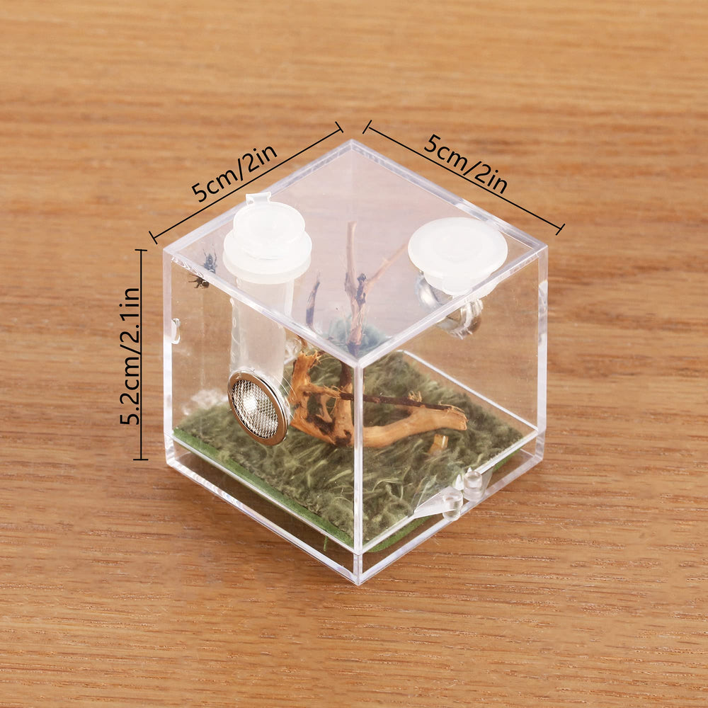 Crapelles caja acrilica insectos miniatura para visualizacion clara y manejo seguro