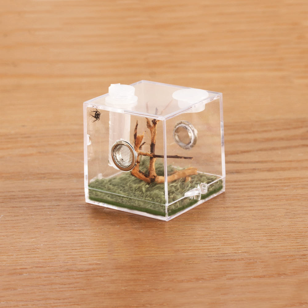 Crapelles habitat arana micro 360 grados para observarla sin molestar