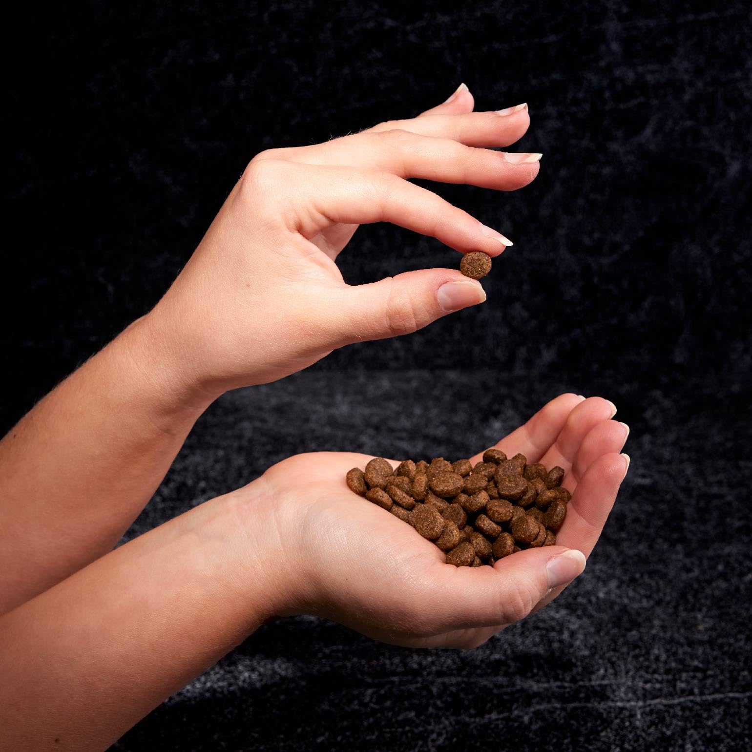 CRAVE: ingredientes de calidad sin sabor artificial ni conservantes.