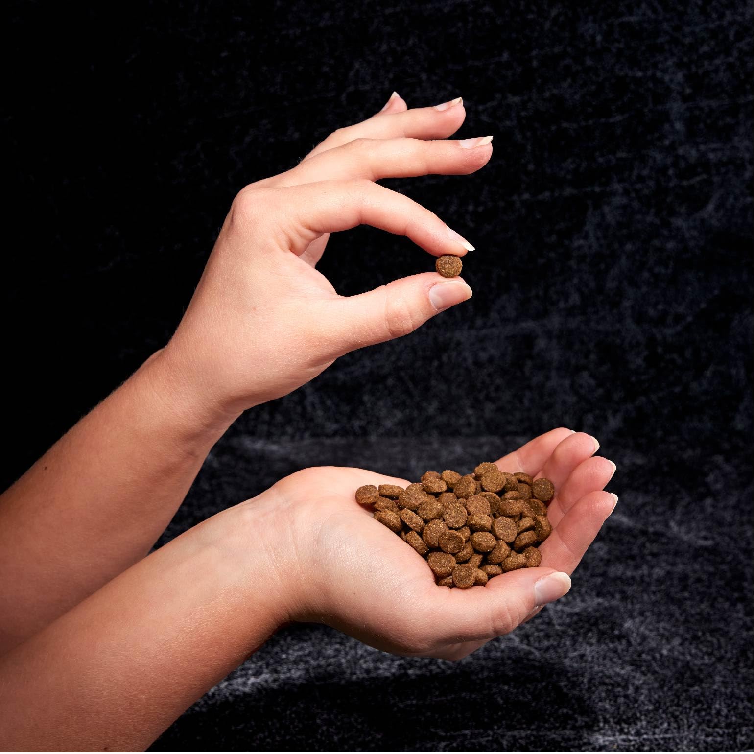 CRAVE textura kibble crujiente para dientes sanos
