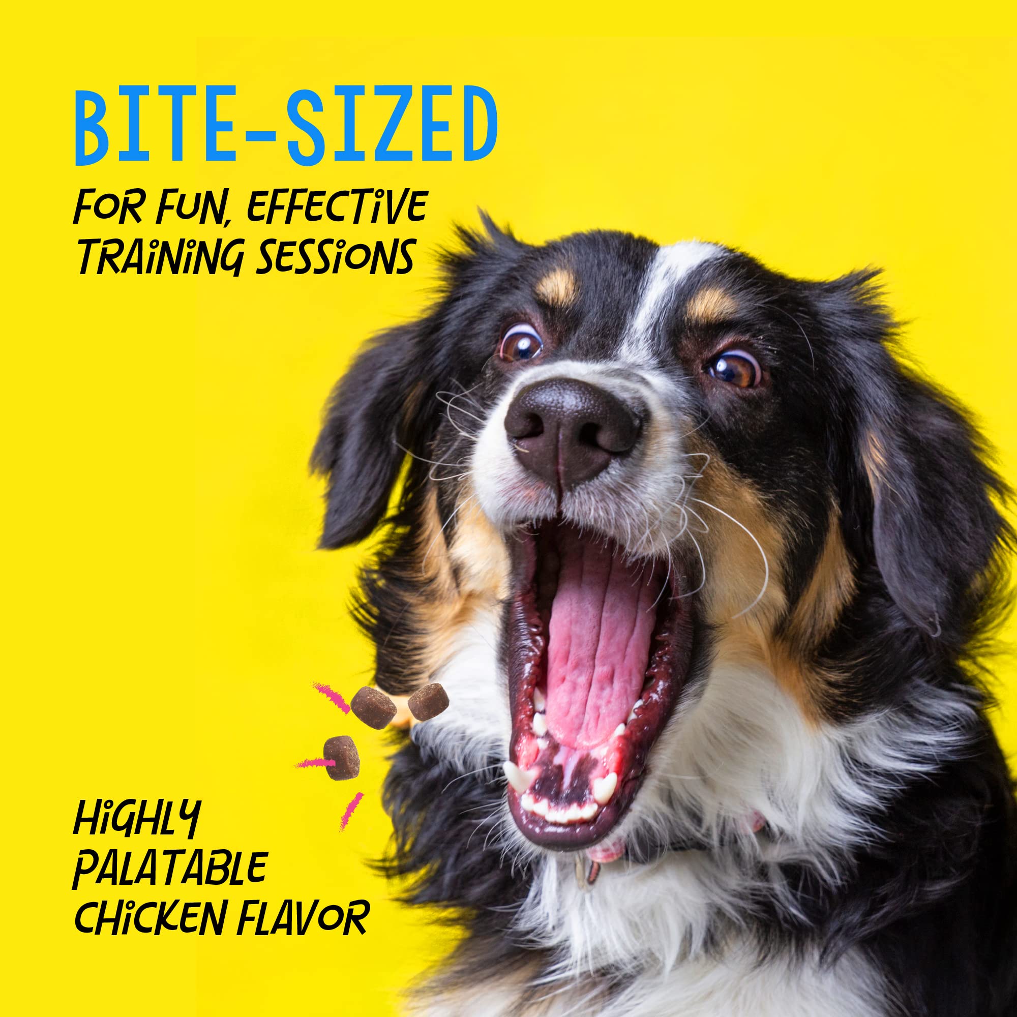 Crazy Dog Train-Me 1-5-calorias-por-premio, snack ligero para las sesiones.