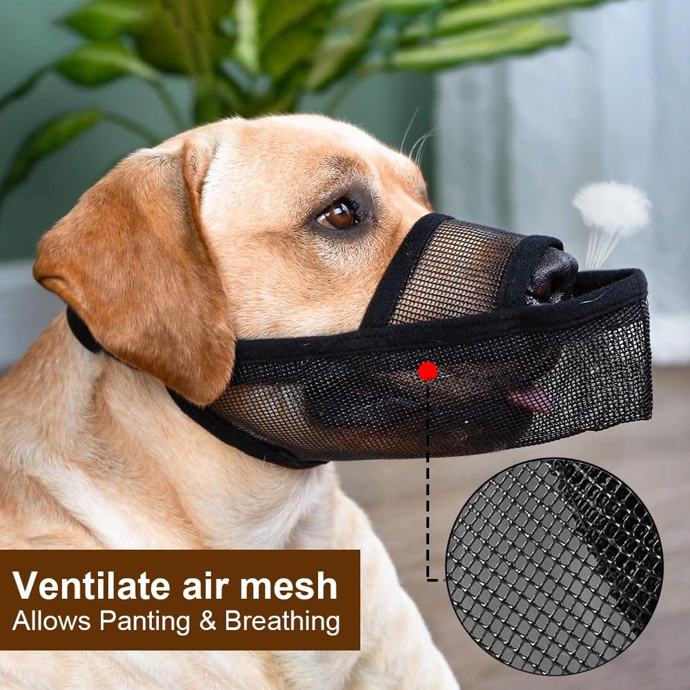 Crazy Felix Muzzle hebilla duradera: ajuste seguro para sesiones de paseo.