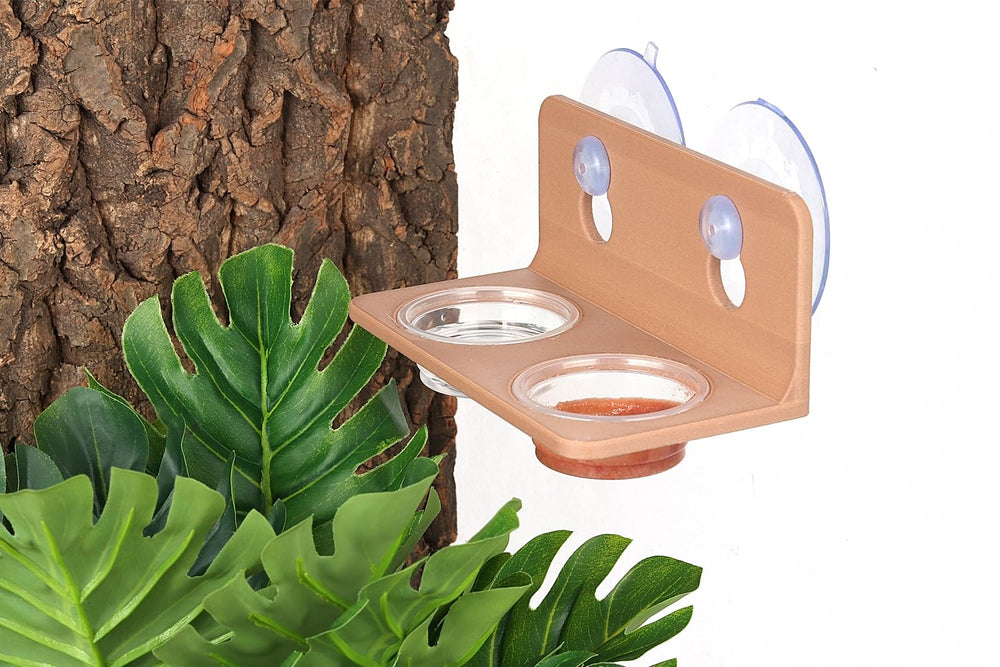 CRITTZOO tazas de comida para gecko crestado, diseño poco profundo reduce derrames.