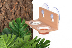CRITTZOO tazas de comida para gecko crestado, diseño poco profundo reduce derrames.