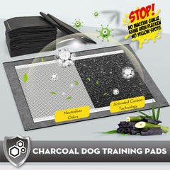 Croci pads con diseño de seis capas para mayor absorción.