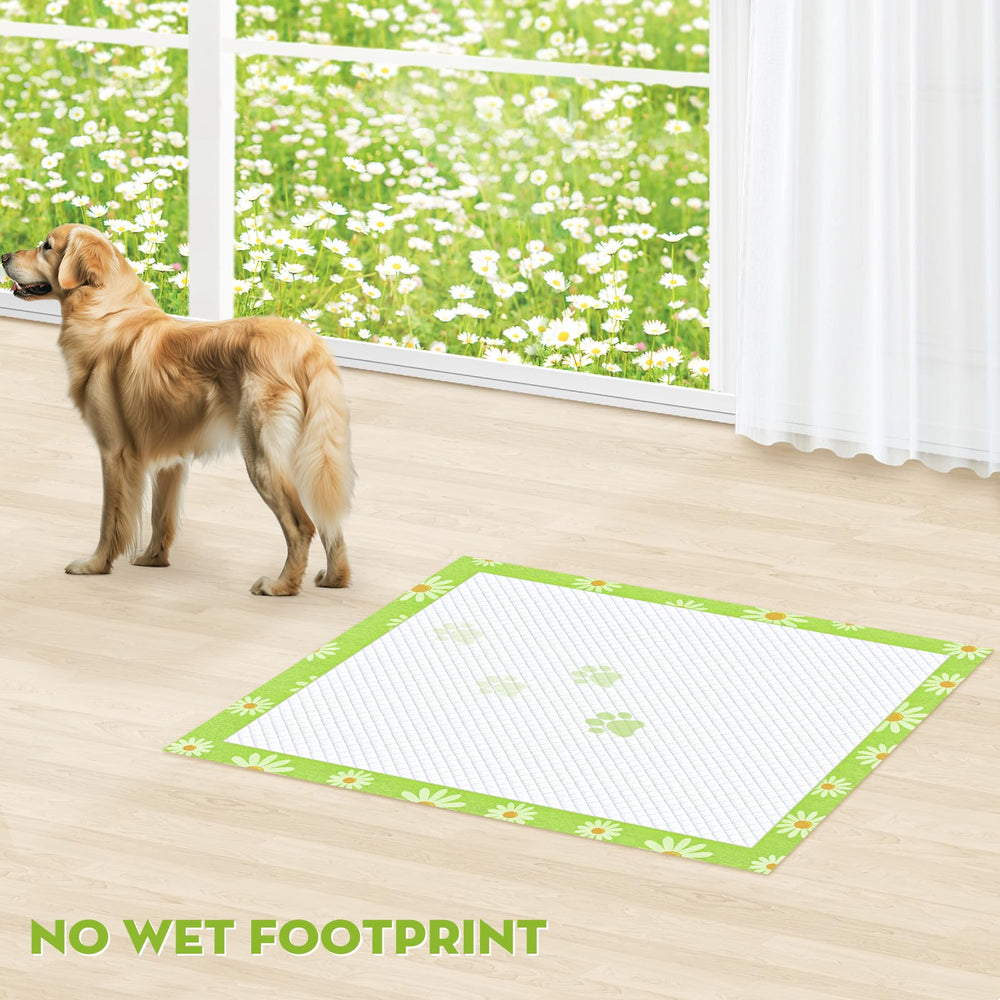 Croci Pee Pads de alta absorción que retienen líquidos para suelos secos