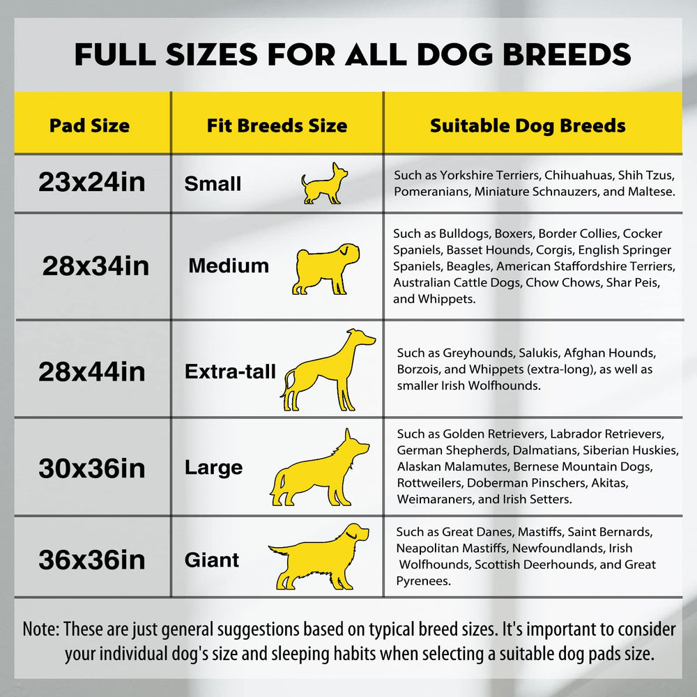 Croci tallas variadas para perros de diferentes tamaños