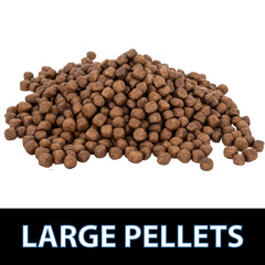 CrystalClear Platinum: granulos 3mm para peces pequeños, alimentacion ajustada.