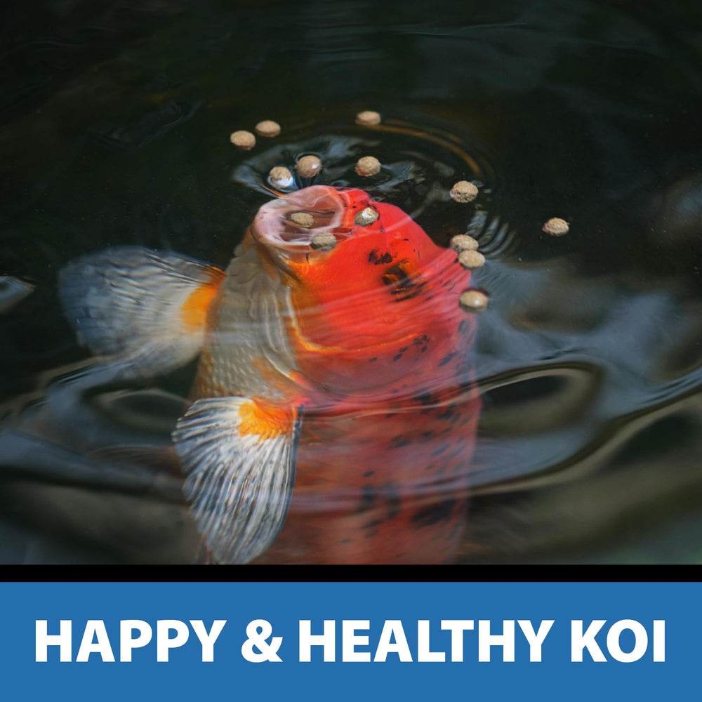 CrystalClear Platinum mantiene una alimentación balanceada para la salud de los peces.