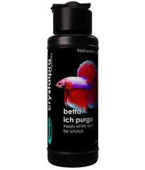Crystalpro Betta Ich Purgo: vertiendo en el acuario para tratamiento del ich.