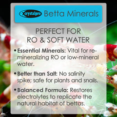 Crystalpro Betta Minerals, acuario con agua estable para bettas y plantas.