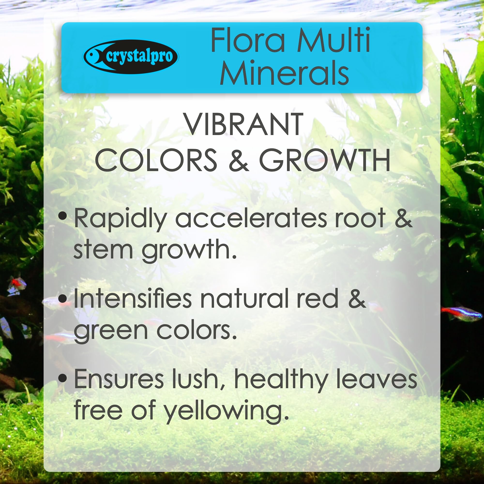 Crystalpro Flora Multi Minerales: crecimiento de raíces robusto para plantas establecidas