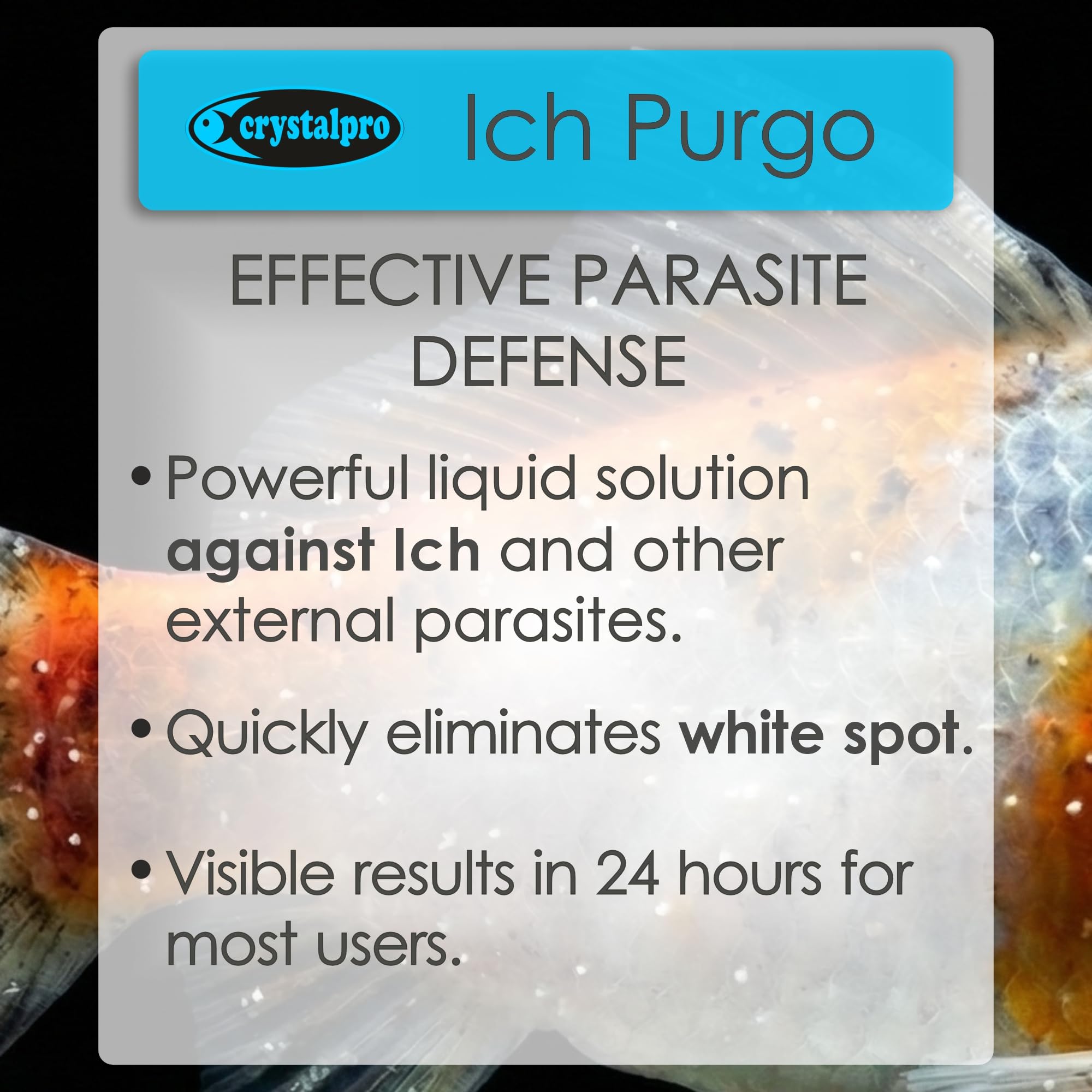 Crystalpro Ich Purgo aplicada al acuario para ictiosis en peces.