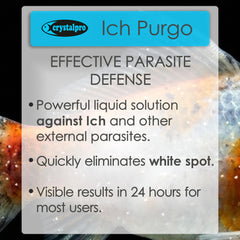 Crystalpro Ich Purgo aplicada al acuario para ictiosis en peces.