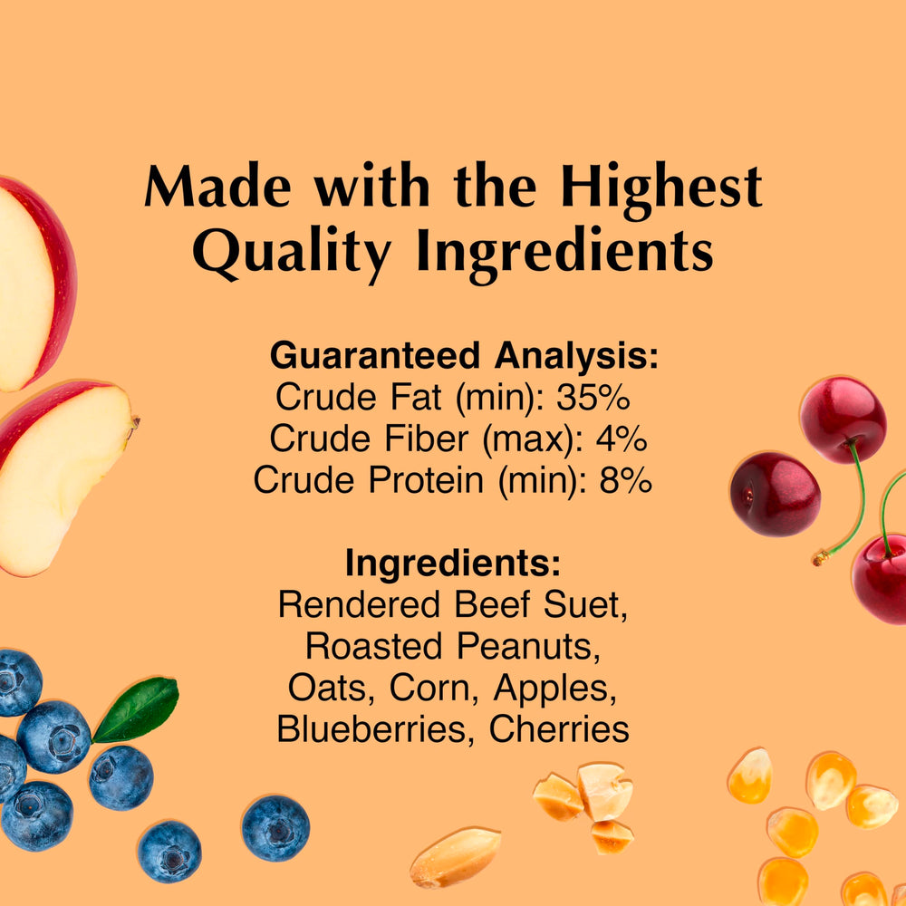 C&S Trato de sebo con fruta y nueces, primer plano de fruta para energía.