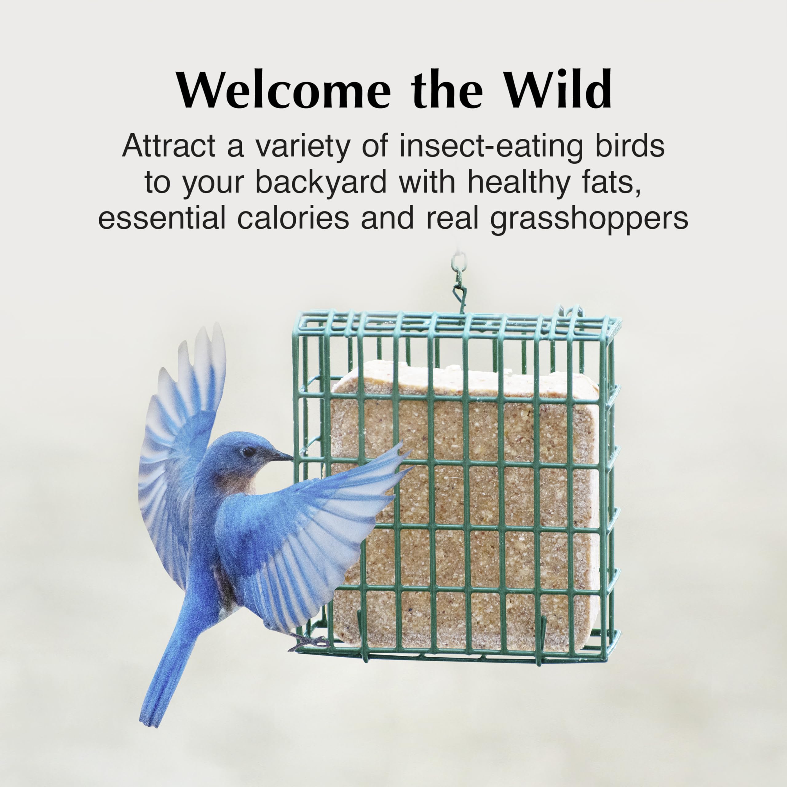 C&S Insect Delight contiene grillos y cacahuates visibles, ideal para aves insectívoras.