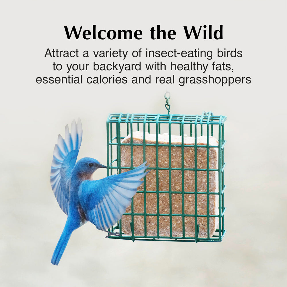 C&S Insect Delight contiene grillos y cacahuates visibles, ideal para aves insectívoras.