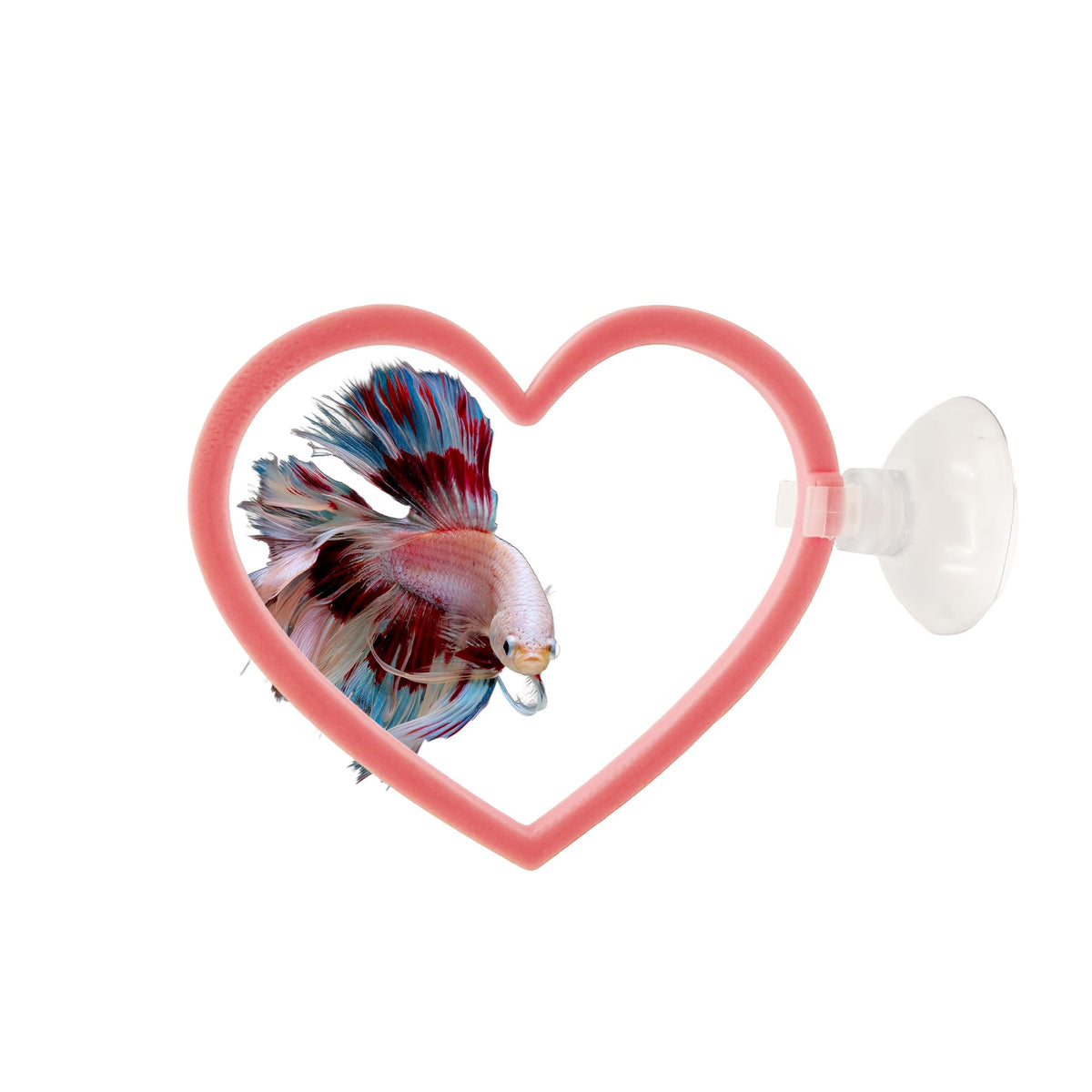 CTWPets anillo-corazón-nadar para betta: fomenta exploración y actividad.
