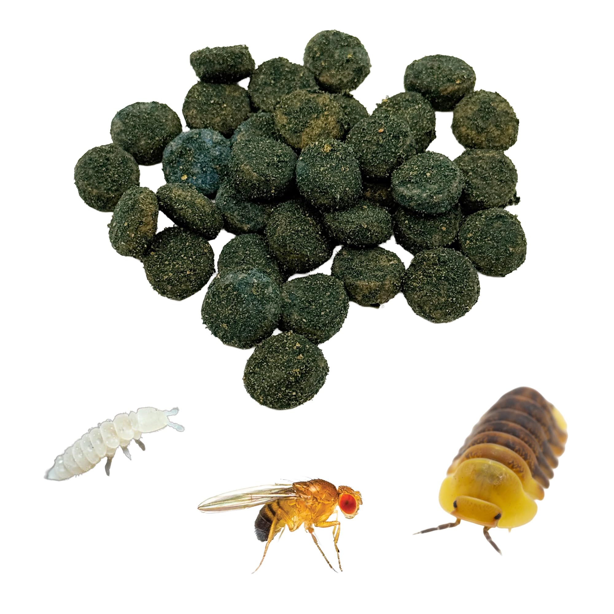 CTWPets Clean Up Crew Bites milipedos en terrario, alimento complementario para sustrato vivo.
