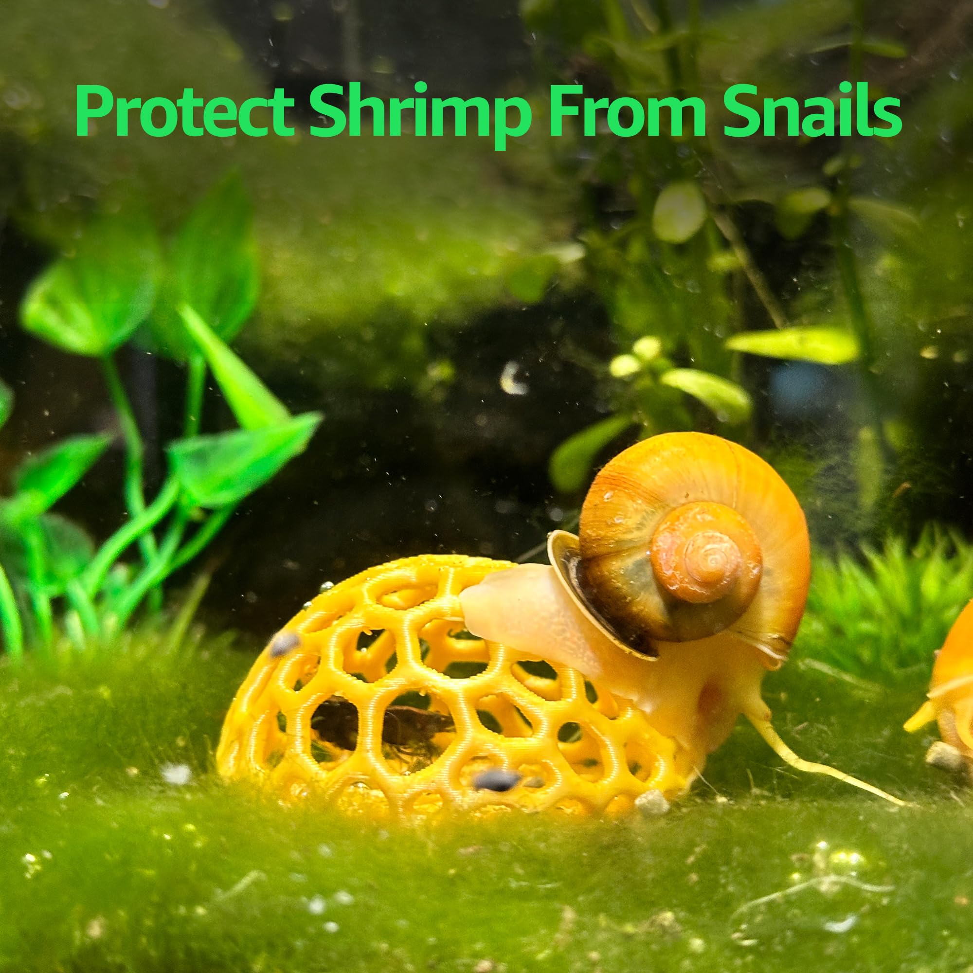 CTWPets domo acuario refugio natural blanco, mejora la estética del tanque.