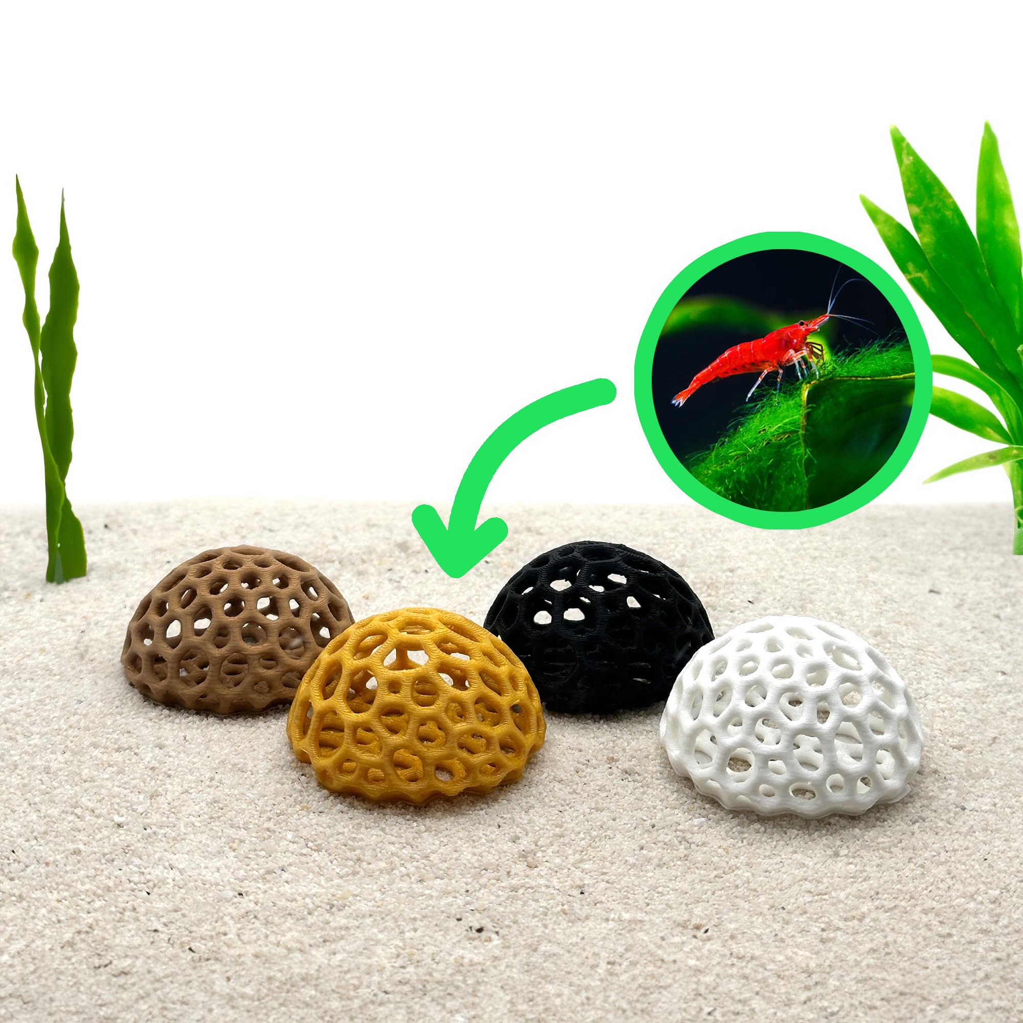 CTWPets Domo Facilidad Limpieza Acuario: diseño fácil de limpiar para mantenimiento práctico.
