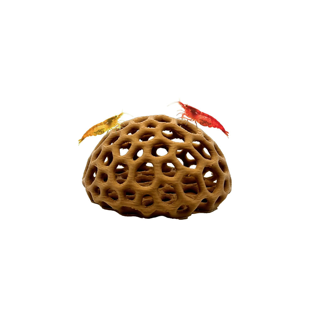 CTWPets refugio domo para camarones cereza en madera clara, crea escondites seguros