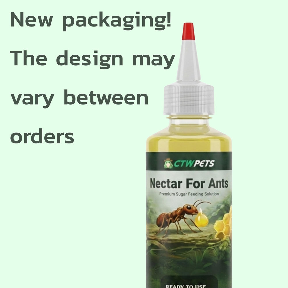CTWPets Golden Nectar apto para hormigas comunes como Camponotus y Lasius