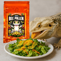 CTWPets polen de abeja, ideal para isópodos y su dieta.