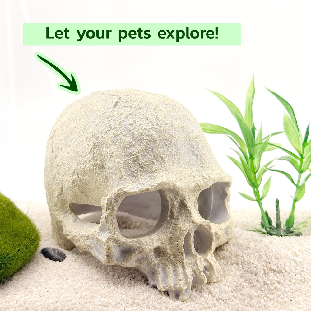 CTWPets refugio estable para bettas, espacio para esconderse sin ocupar la superficie