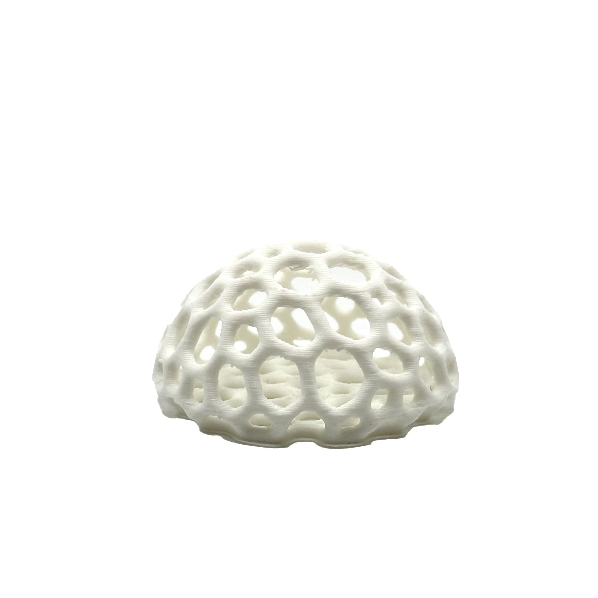 CTWPets refugio domo camarones blanco, fácil de limpiar y mantener.