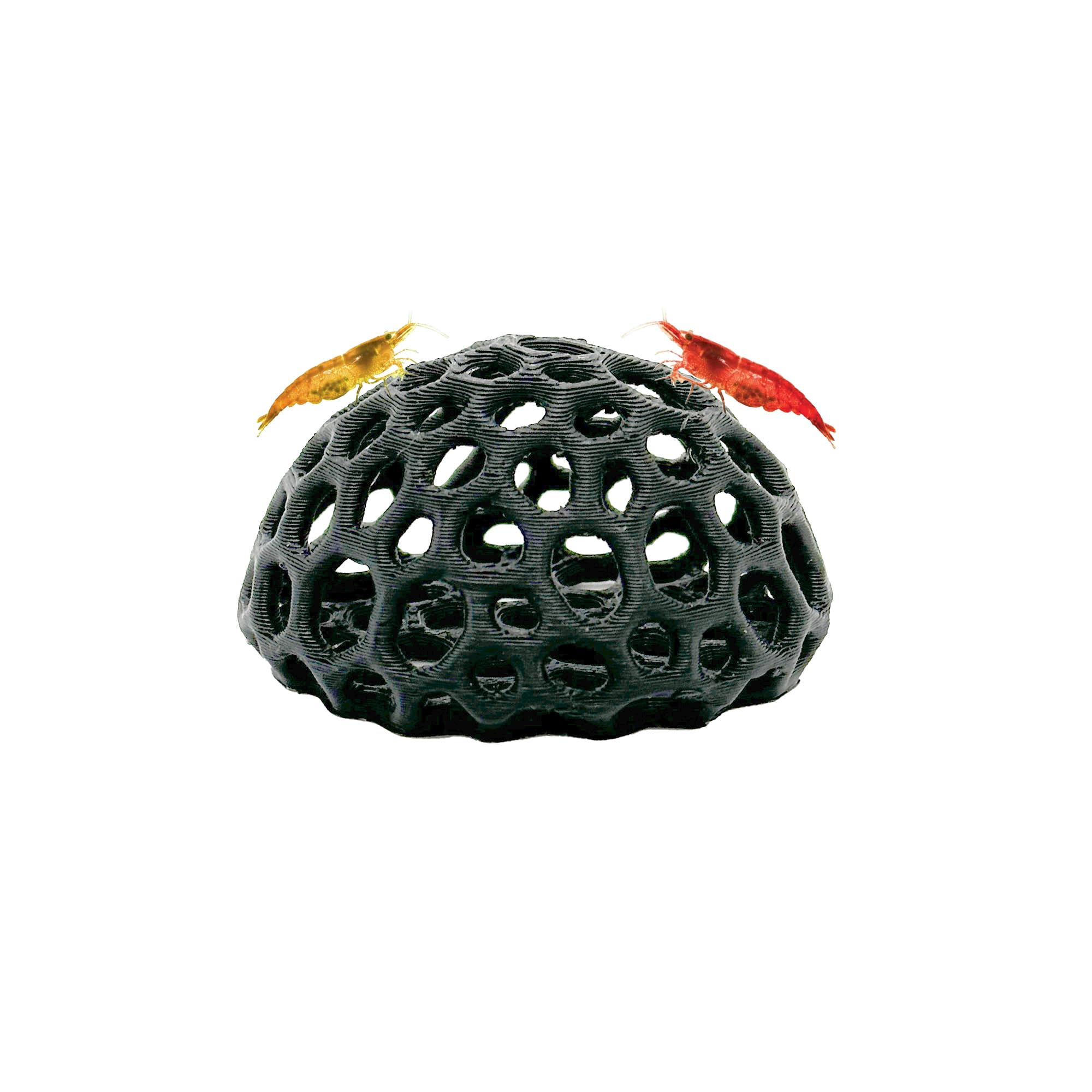 CTWPets Shrimp Dome Hide negro, refugio seguro para camarones en el acuario.