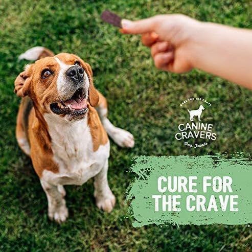 CURE FOR THE CRAVE CANINE CRAVERS – récompense formation, morceaux faciles à briser