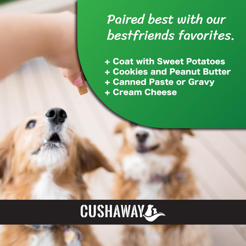 CushAway en hogar: entorno cómodo para la salud canina