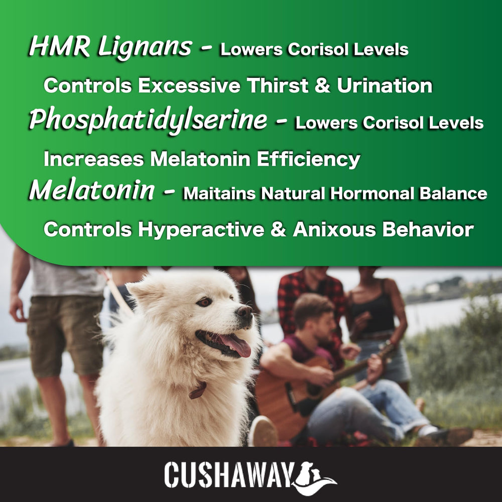 CushAway ingredientes clave: lignanos y melatonina para perros