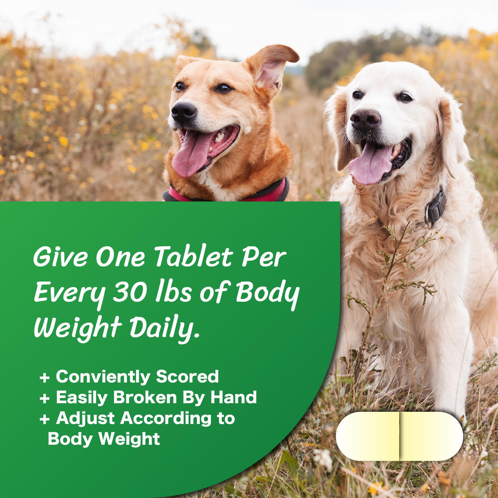 CushAway preparado para servir en comida diaria de perros