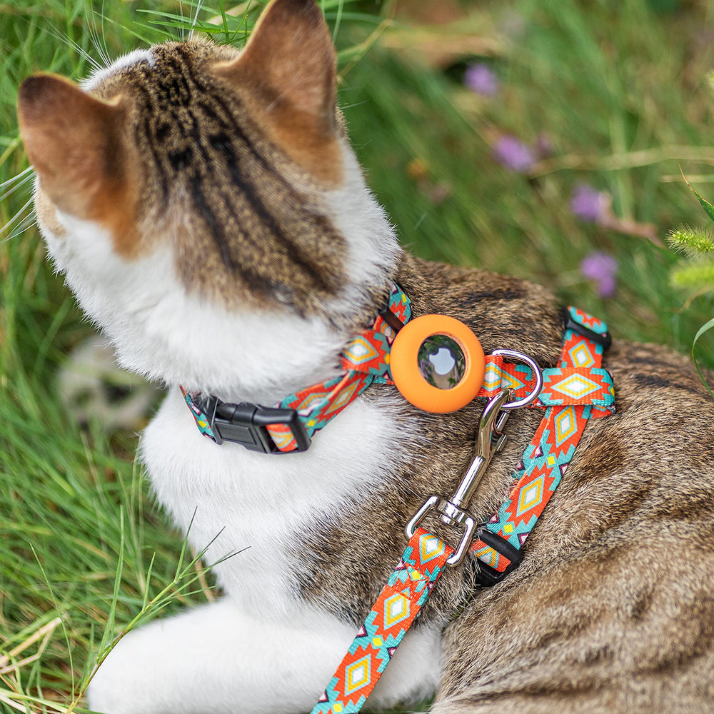 Conjunto arnés y correa para gatos de distintas tallas CUSOZWO