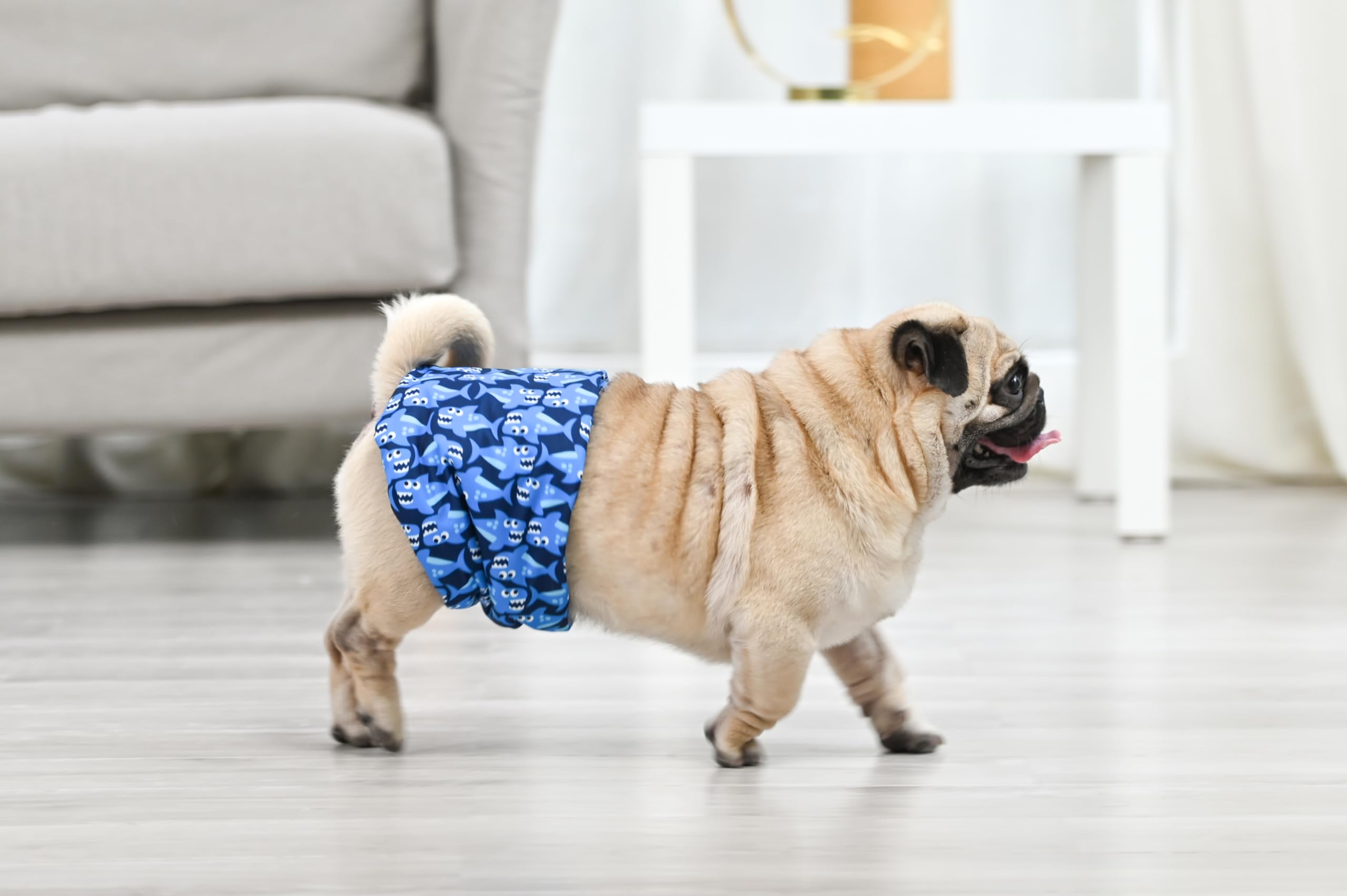 CuteBone diseño en tres tamaños facilita ajuste perfecto delante de las patas traseras.