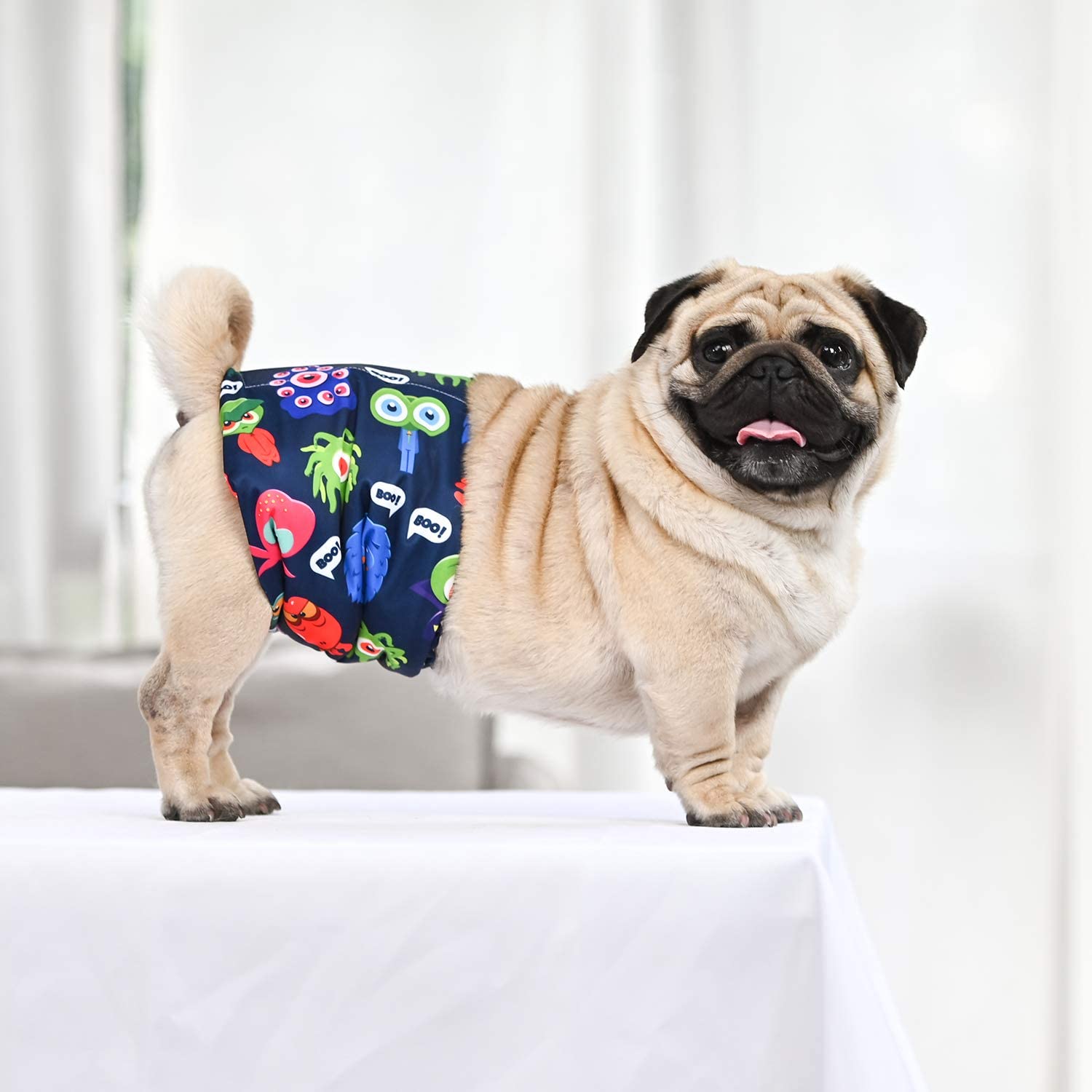 Diseños variados de CuteBone, ideales para hogares con varias mascotas.