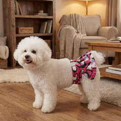 CuteBone elastico en pierna para un ajuste estable.