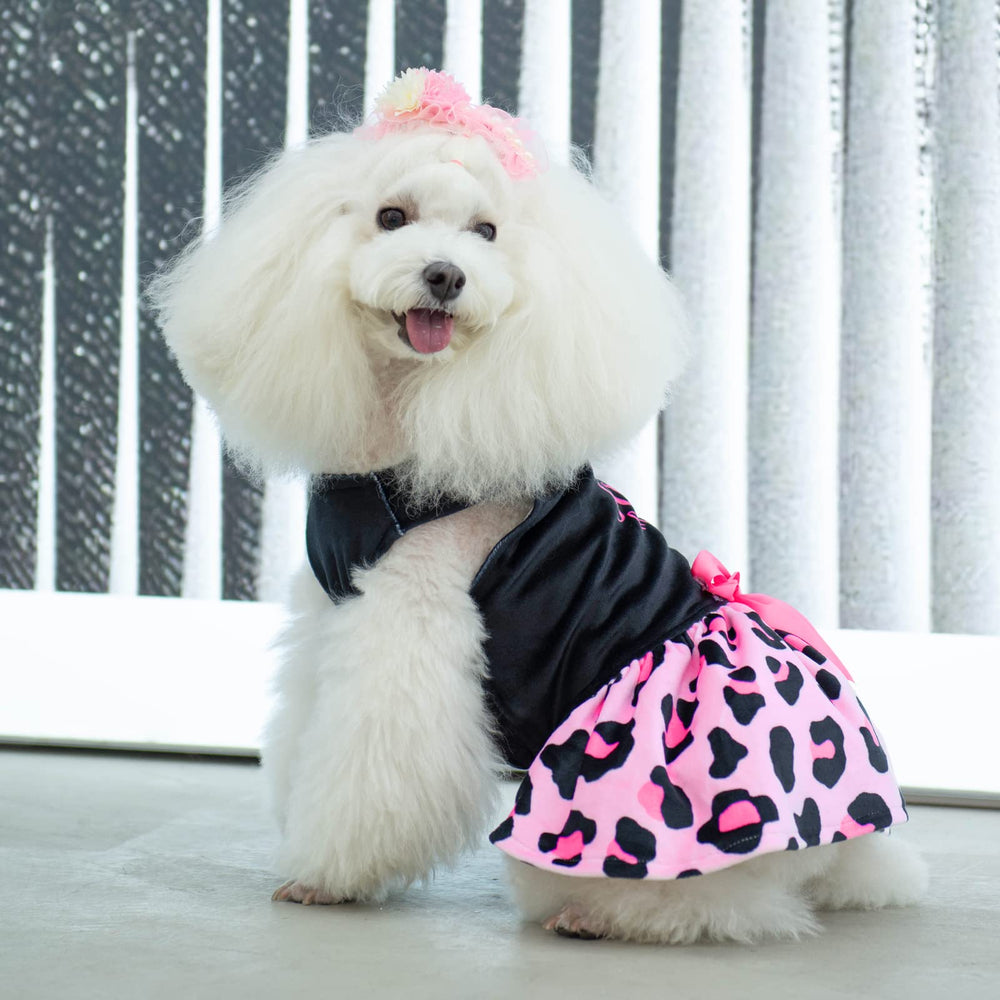 CuteBone lazo accesorio para el pelo que completa el conjunto.