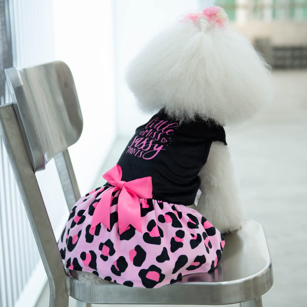CuteBone modelo yorkie luciendo vestido leopardado, perfecto para sesiones de fotos.