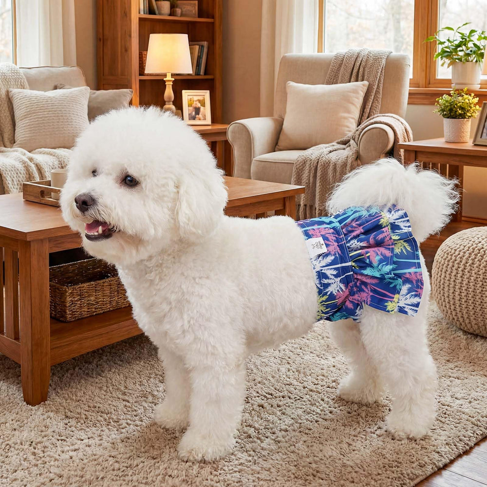 Cierre de velcro ajustable en panales CuteBone para un ajuste seguro