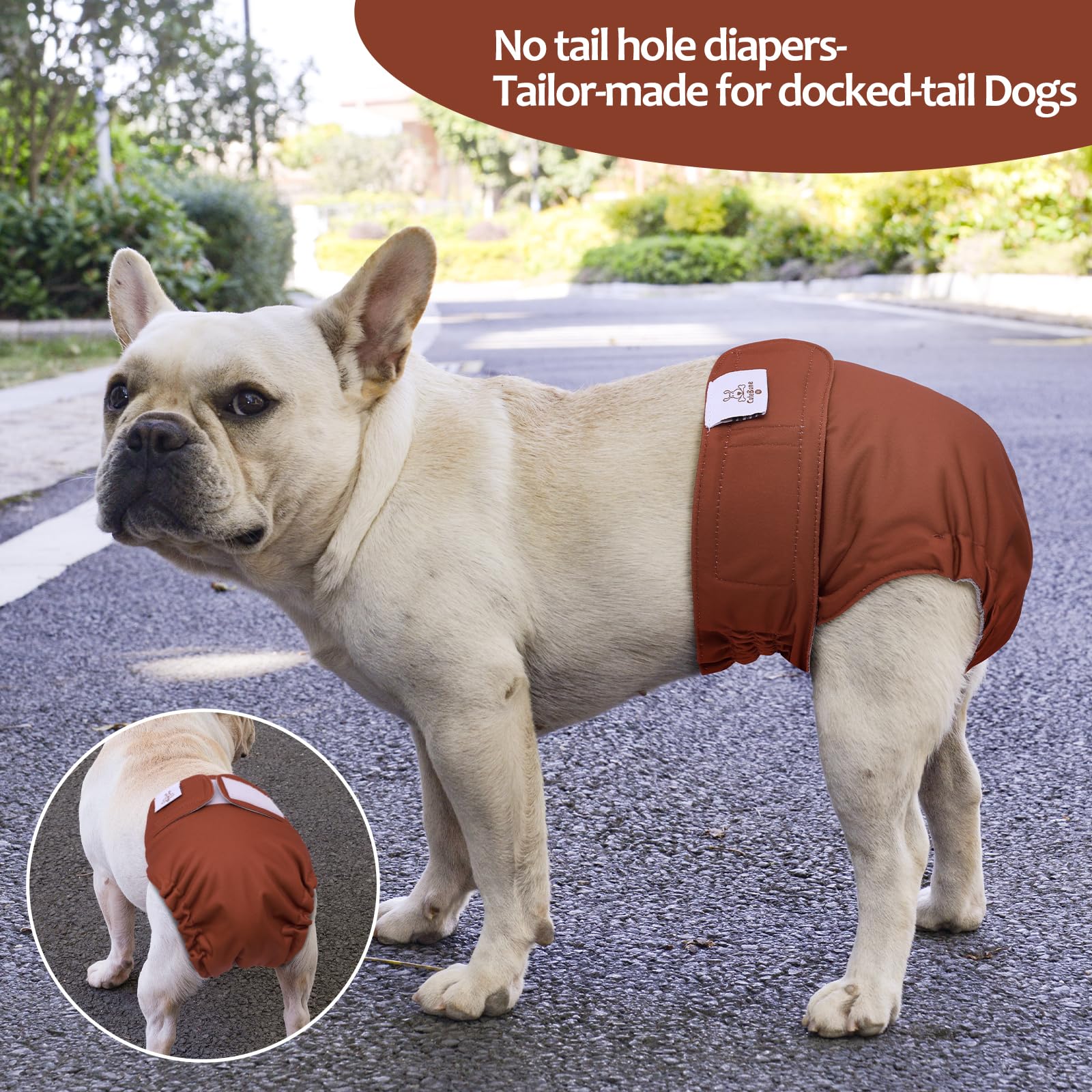 CuteBone ajuste con velcro facilita ponérselos y quitar