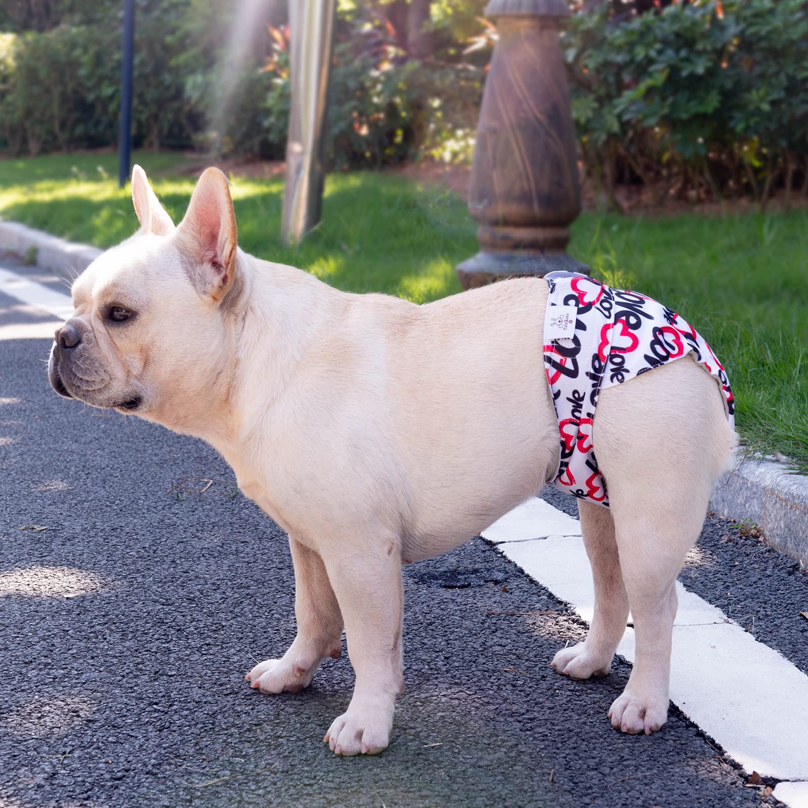 Exterior impermeable de CuteBone para proteger muebles
