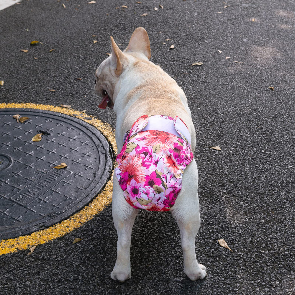 Protección impermeable de CuteBone para suelos y alfombras